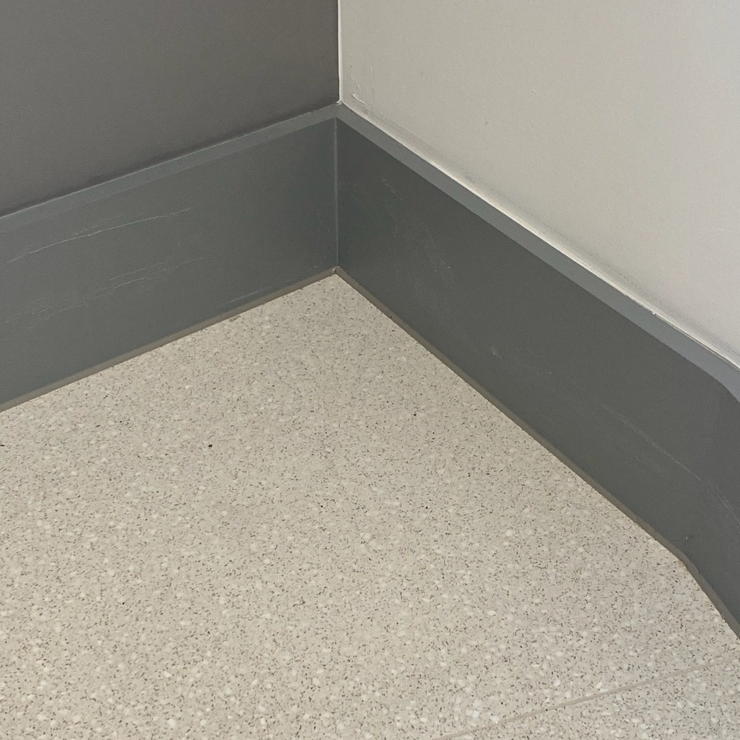 Grey silicone to match skirting colour applied to floor